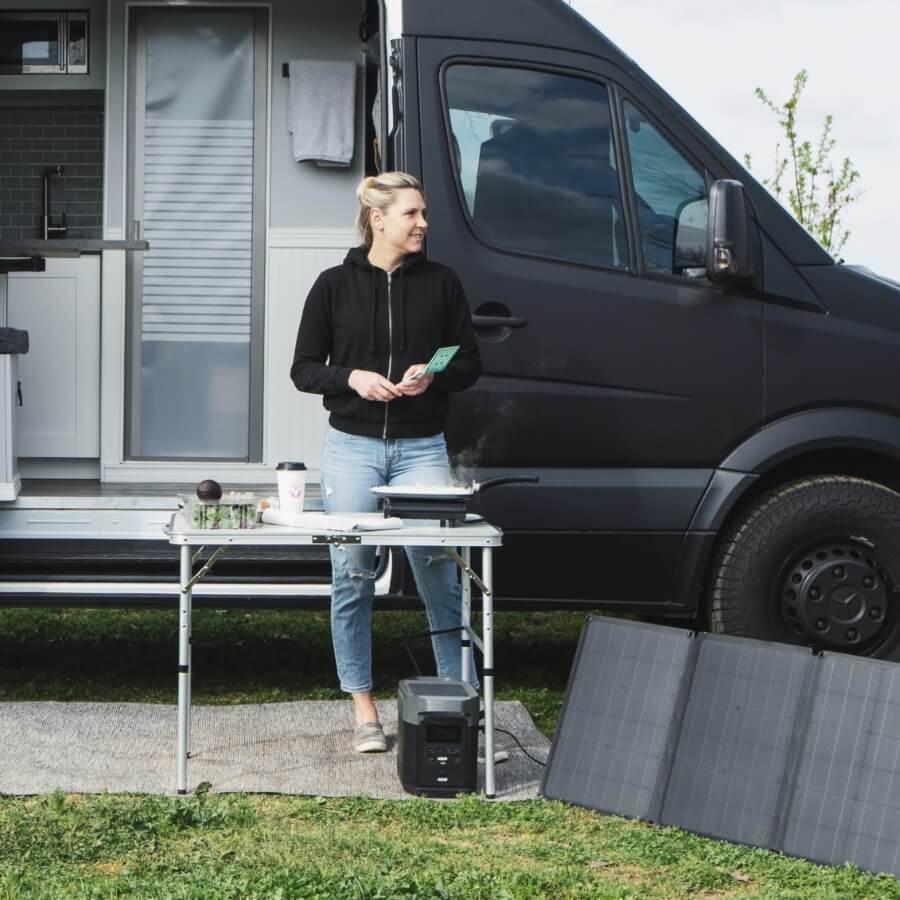 174390804_komplekt-ecoflow-delta